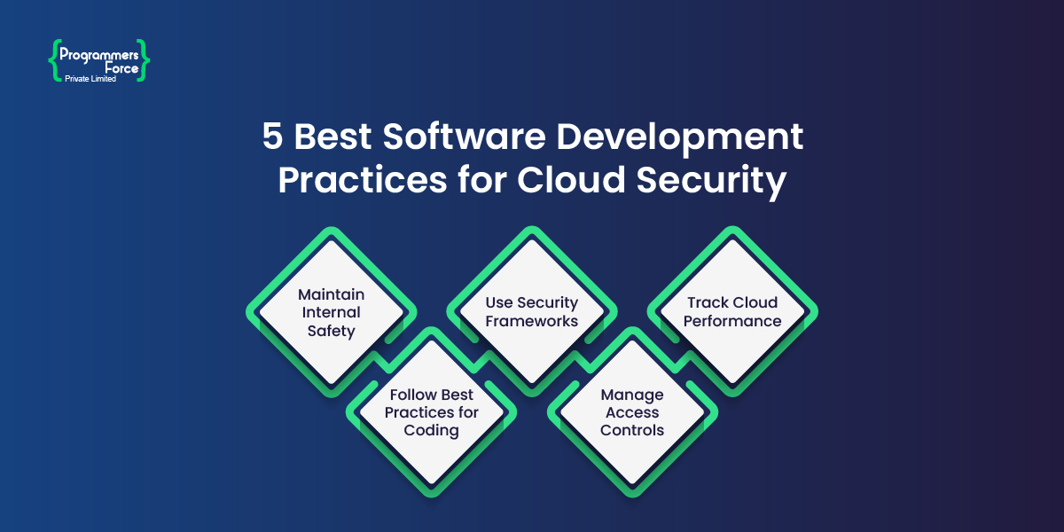 How Software Development Process Infographic